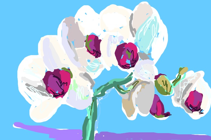 Zelf creëren met kunst-apps