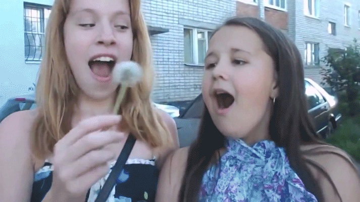 Deze 15 educatieve gifs leren je wellicht meer dan een lesboek